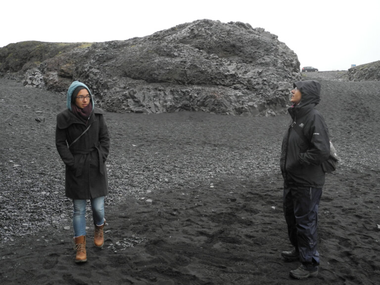 2015 Island Black Beach Reynishverfisvegur