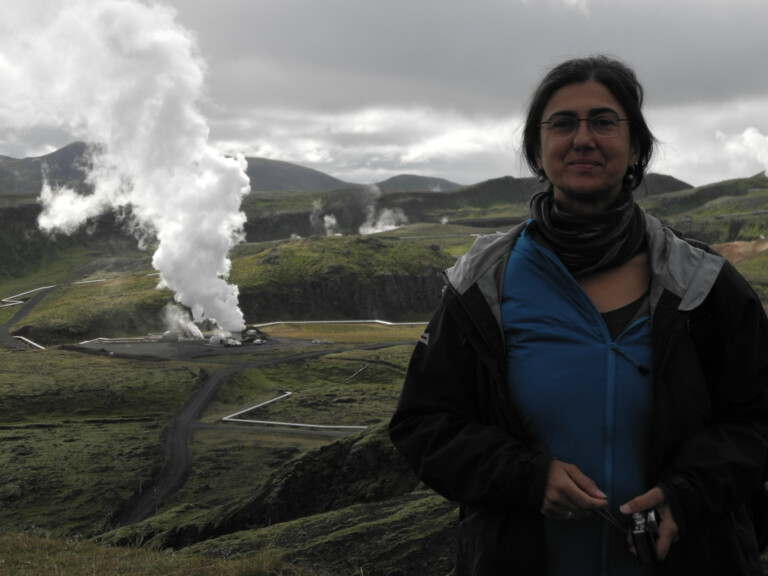 2015 Island Golden Circle Bustour