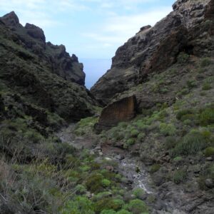 Blick zum Meer hinunter im Barranco Seco