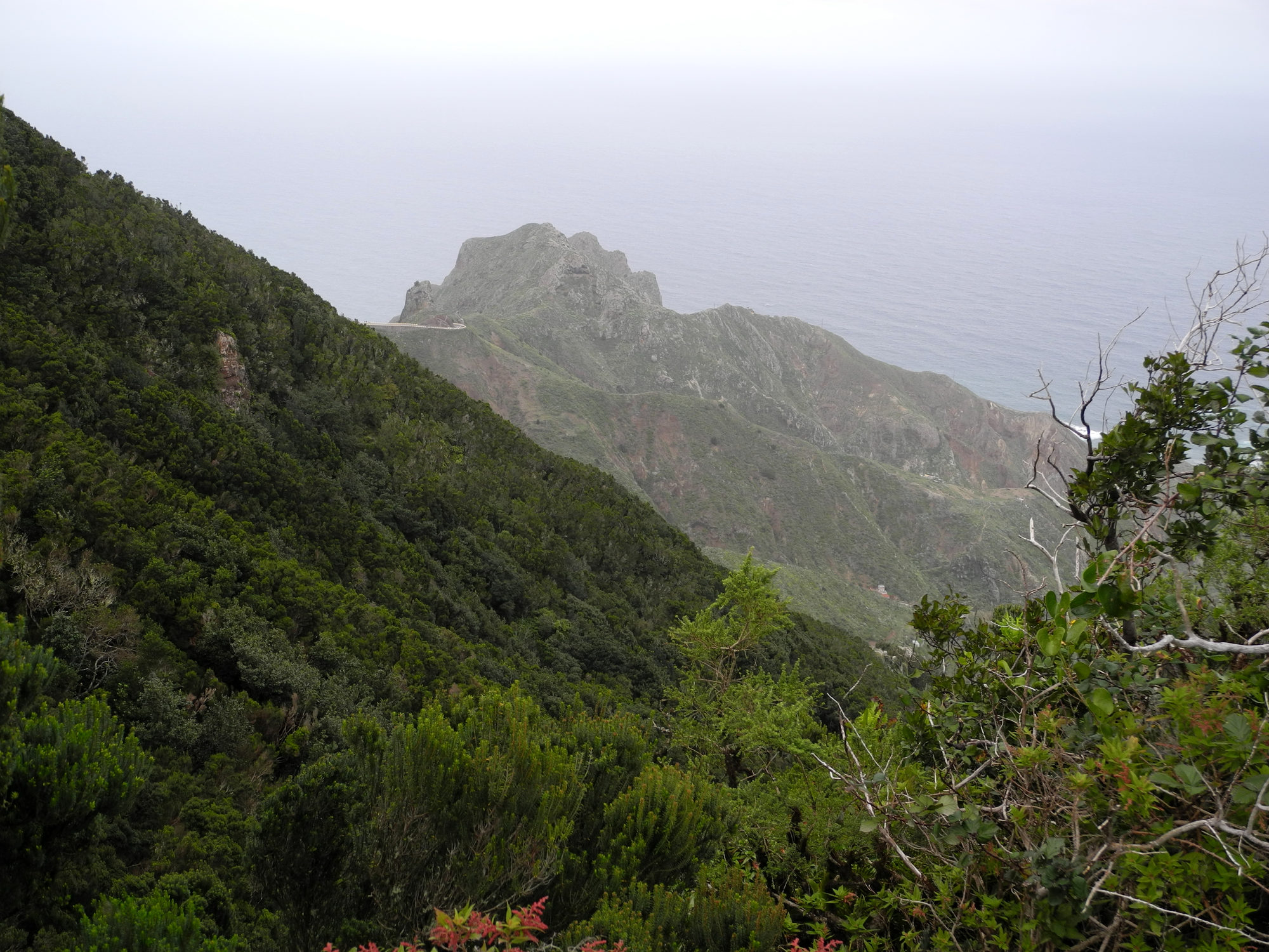 2016 03 Teneriffa Wanderung Anagagebirge von El Bailadero nach Benijo