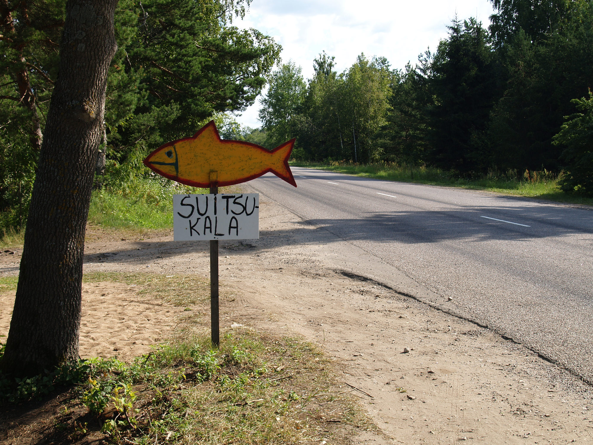 2008 Estland am Peipsisee in Kalmaküla