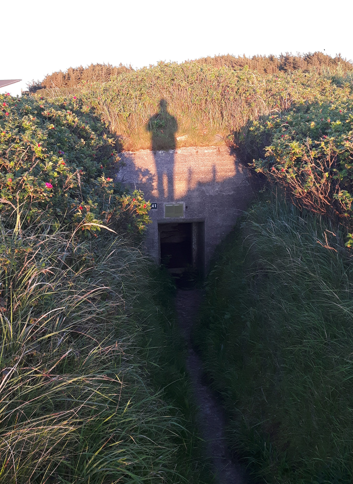 Museum deutsche Bunkeranlage bei Hirtshals Dänemark