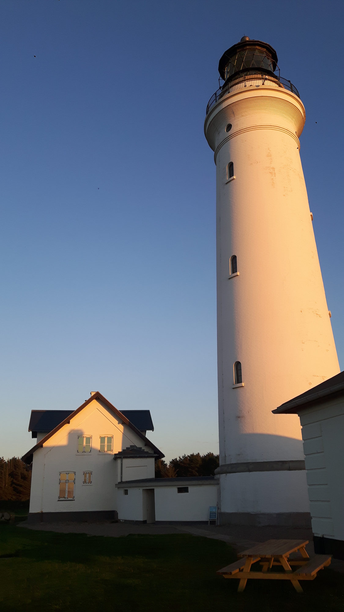 Leuchtturm Hirtshals Dänemark