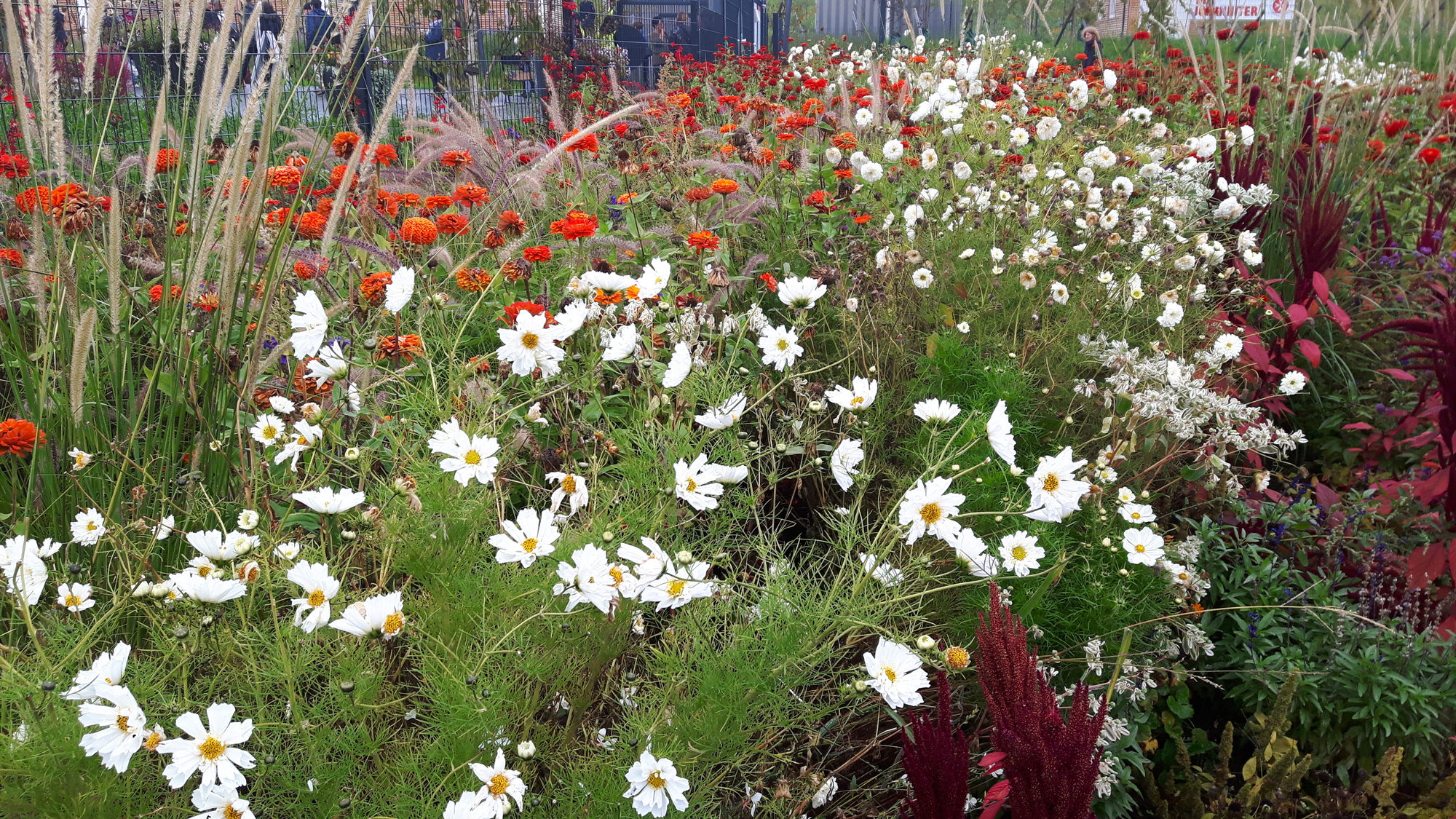 Blumenrabatte