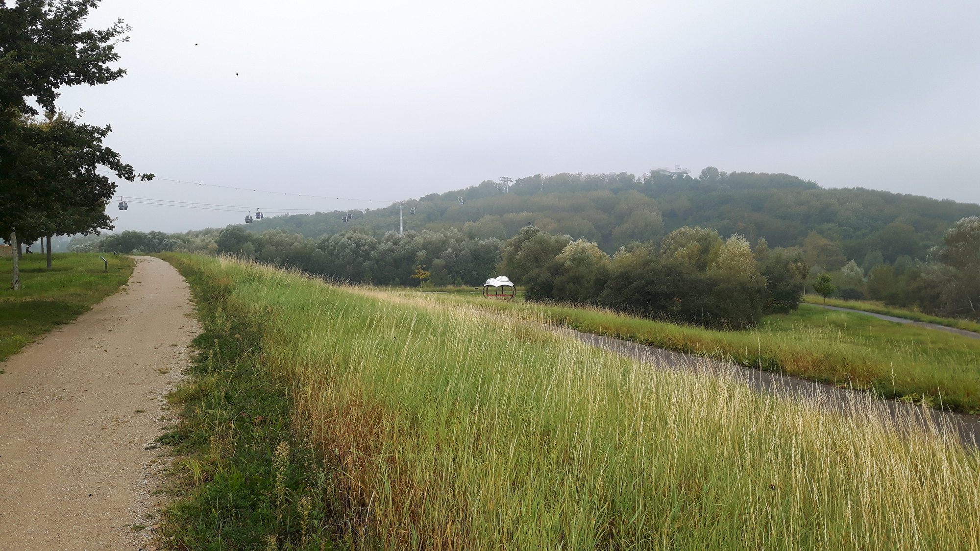 Blick auf den Kienberg