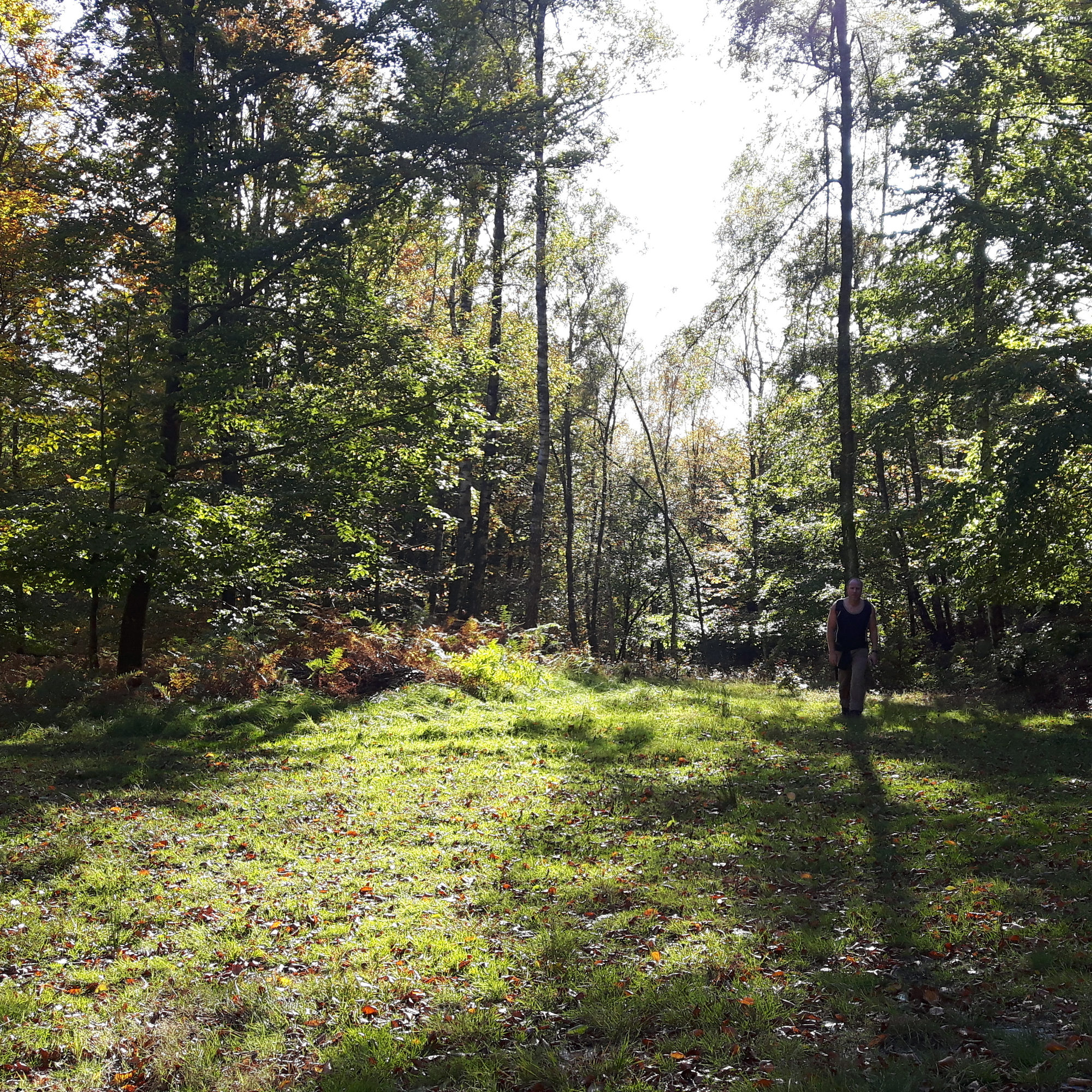 Marsch im Wald
