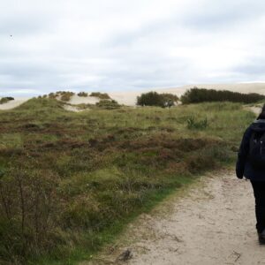 Auf dem Weg zur Sanddüne
