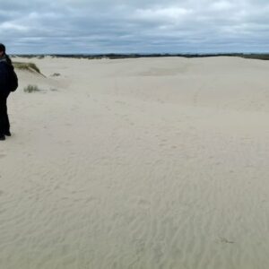 Panorama der Sanddüne