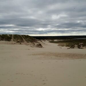 Sanddüne
