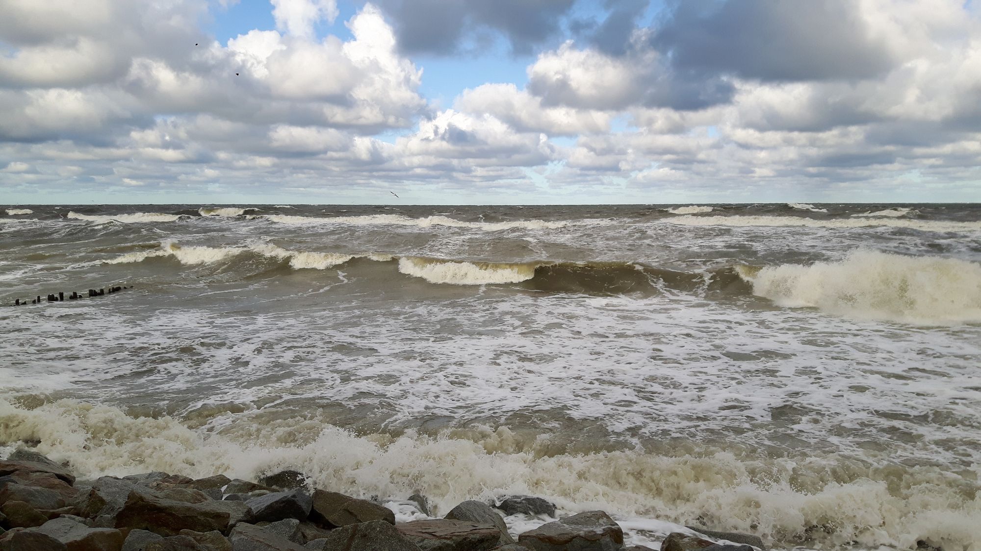 Ostsee mit Wellen Kolberg