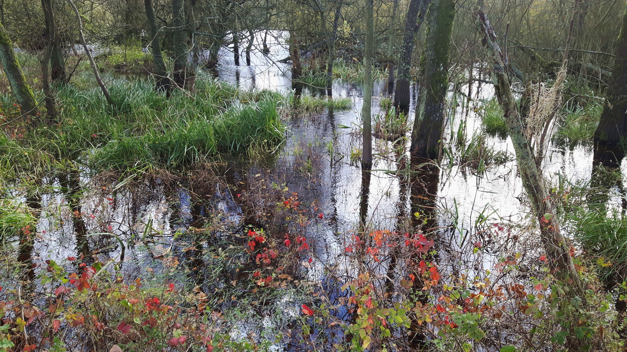 am Moor in Kolberg