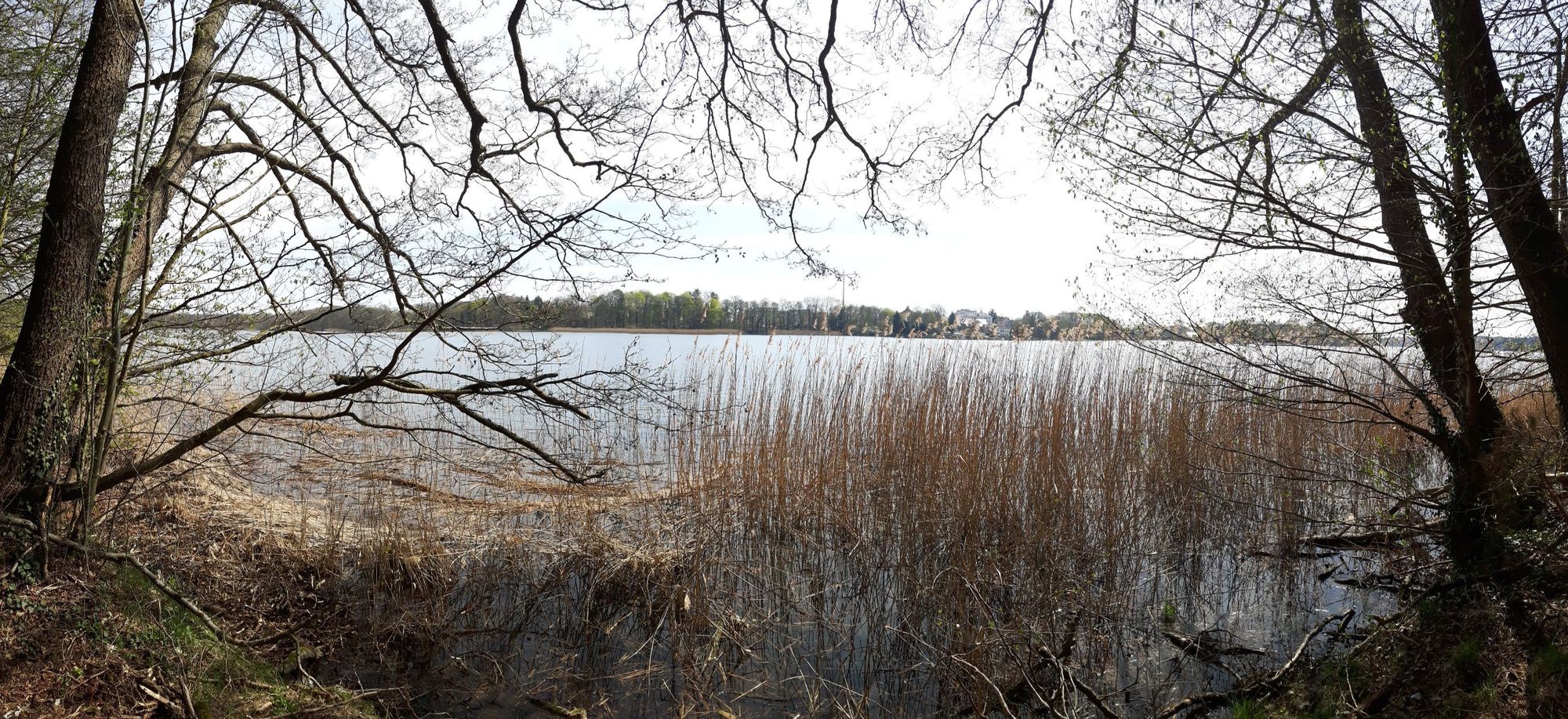 Strausberger See