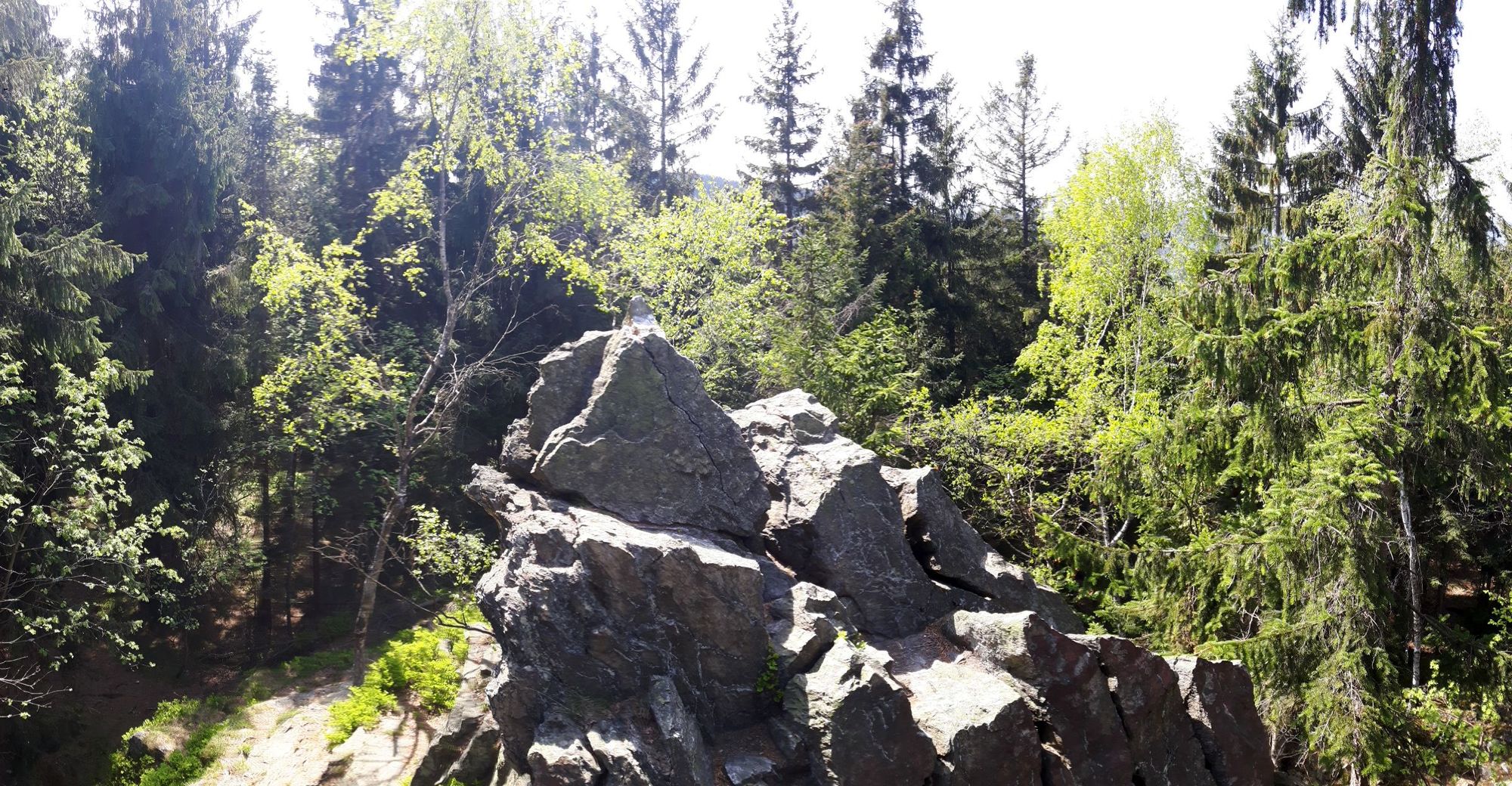 eine kleine aussichtslose Spitze am Gipfel