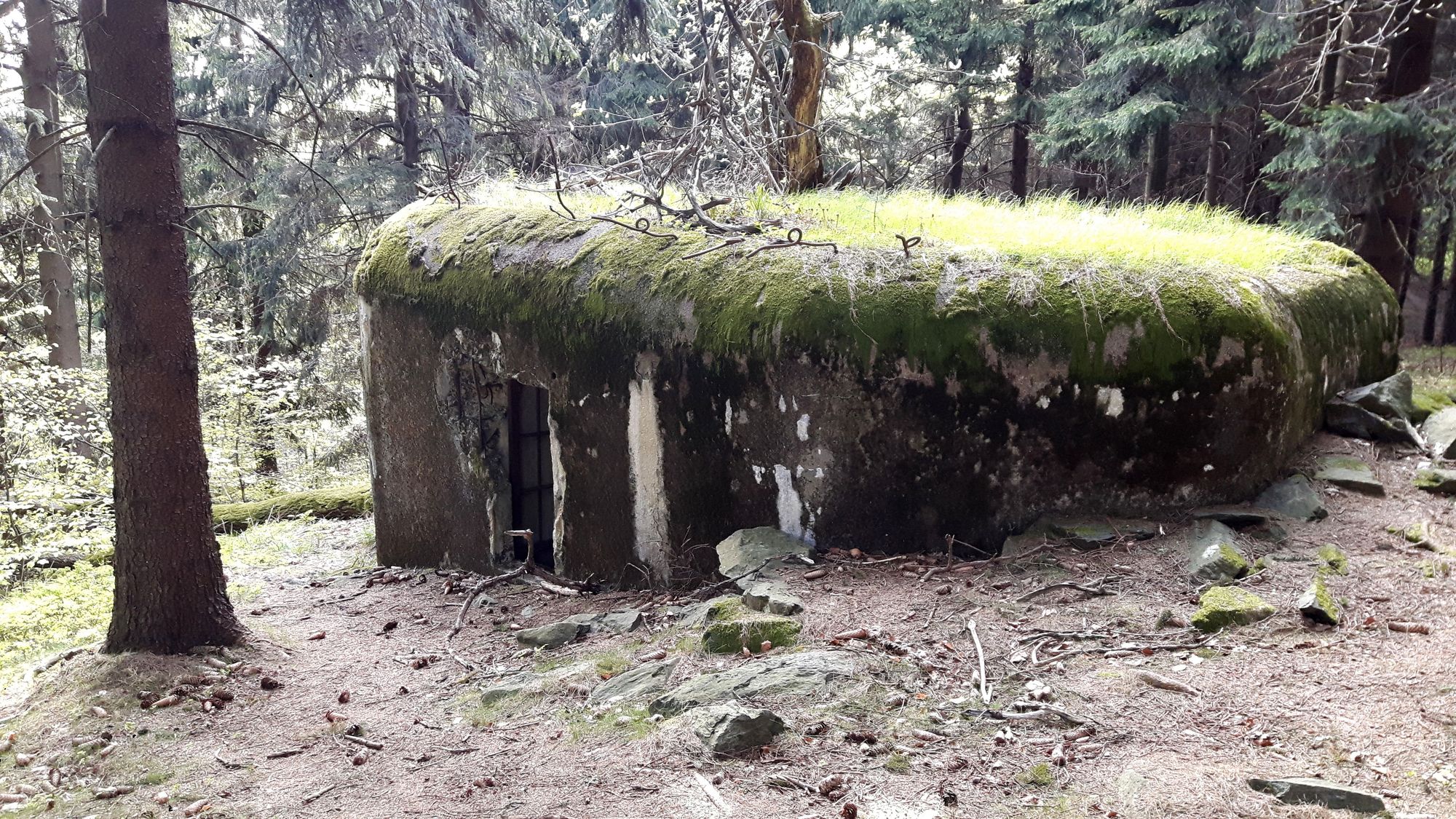 Bunker im Wald