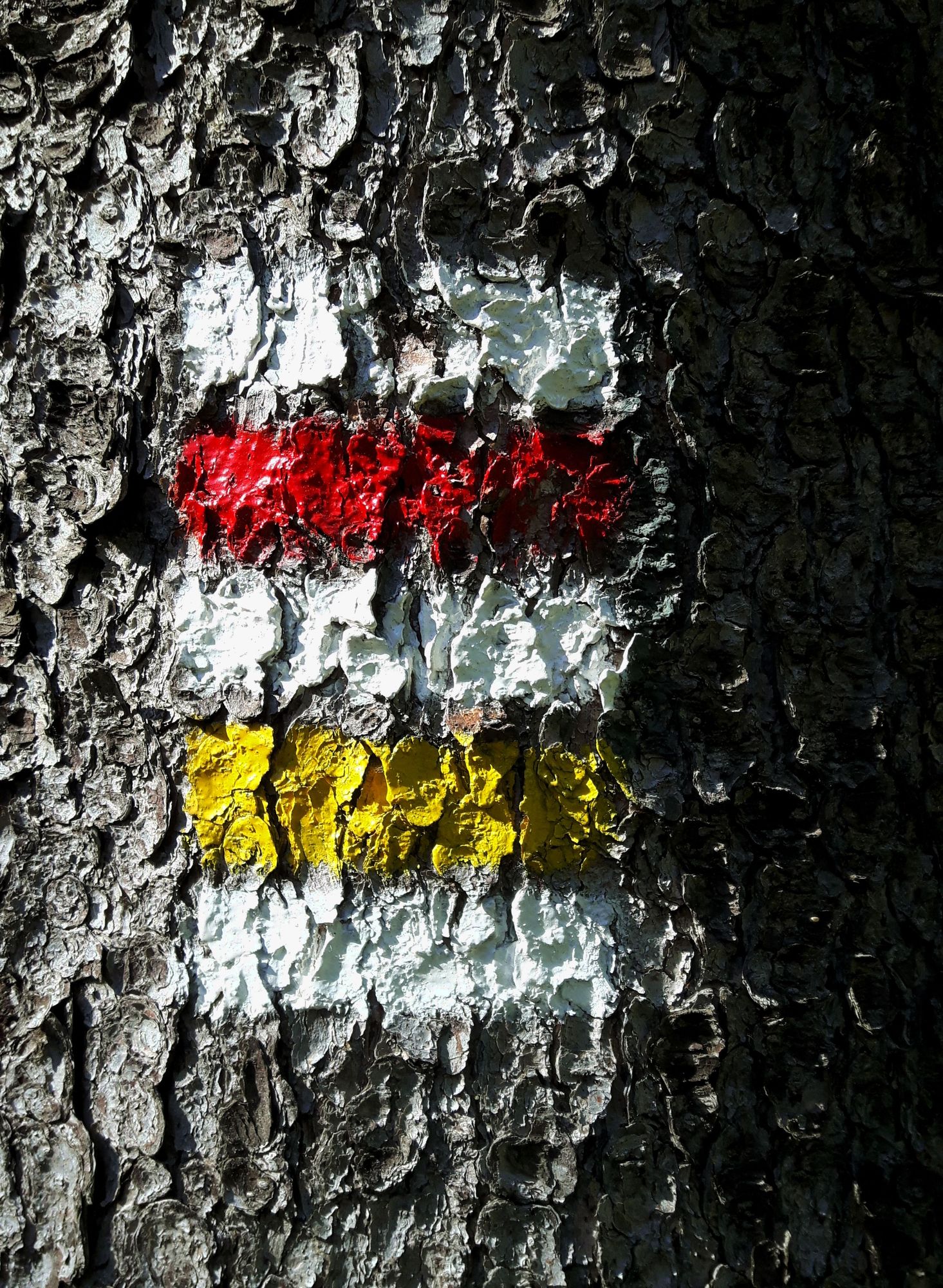 farbenfrohe Wegmarkierung