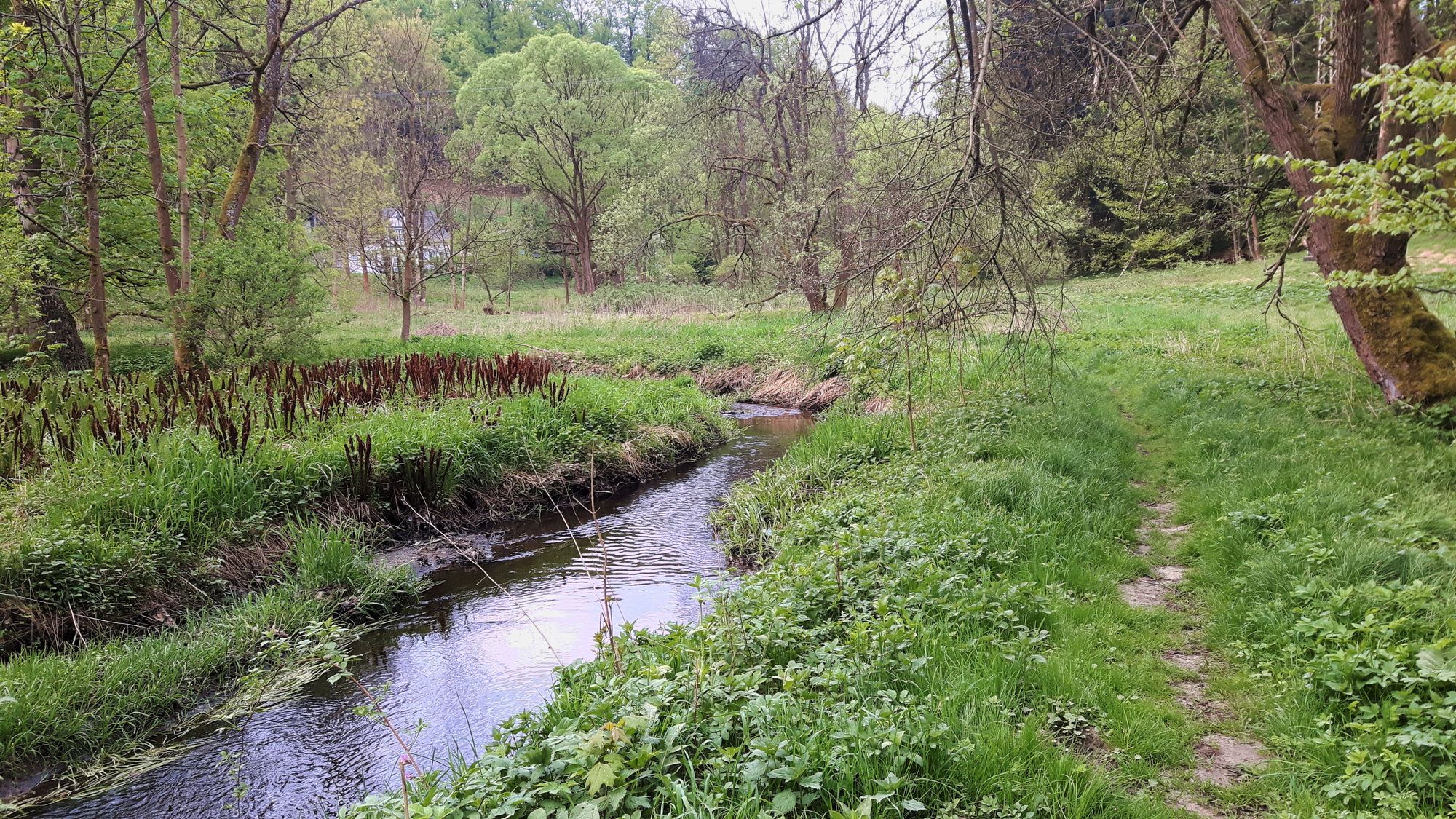 Weg am Bach entlang