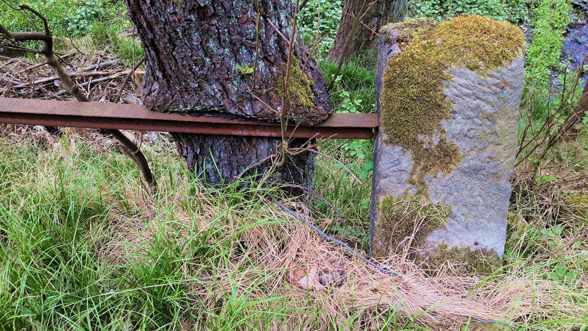 alte Weg Einfassung