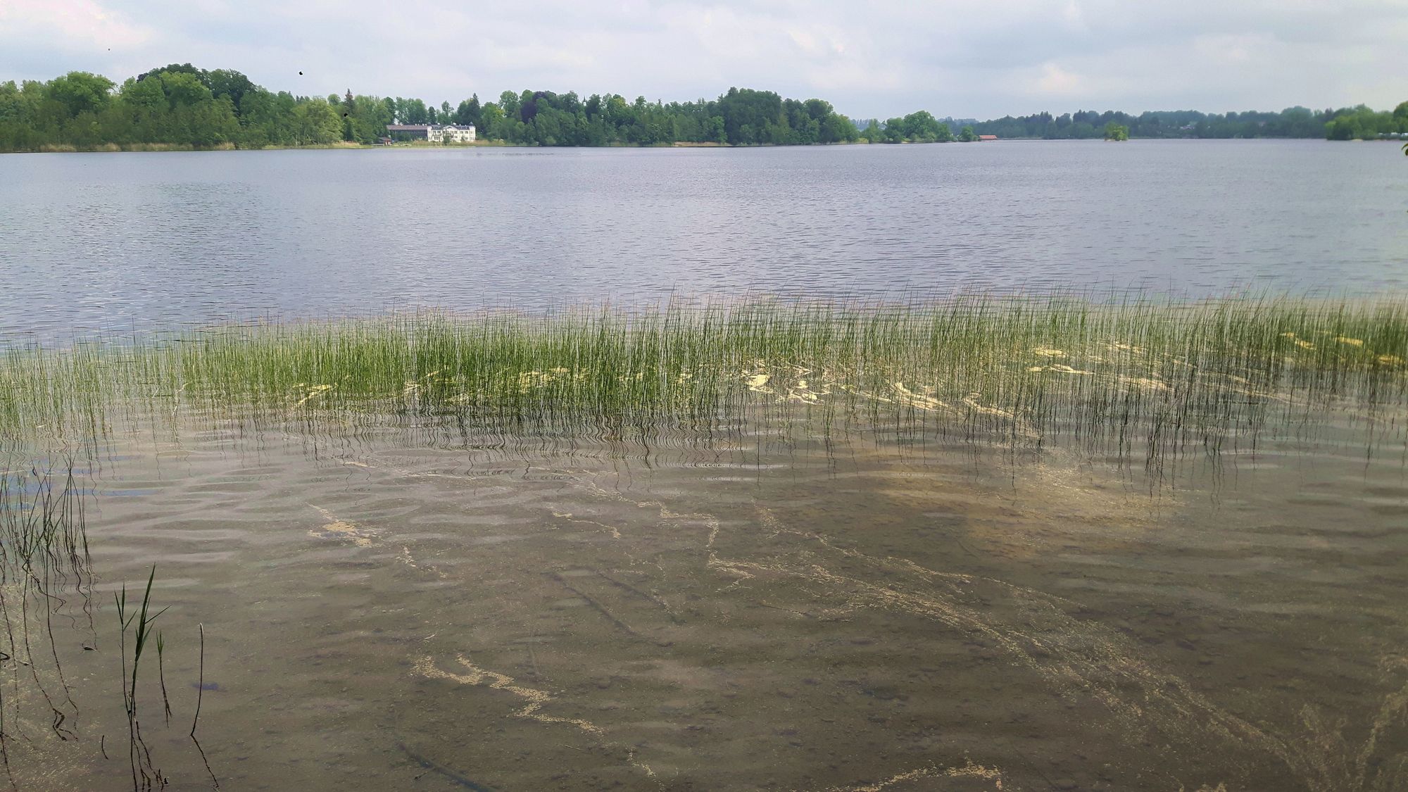 Panorama Blick Staffelsee