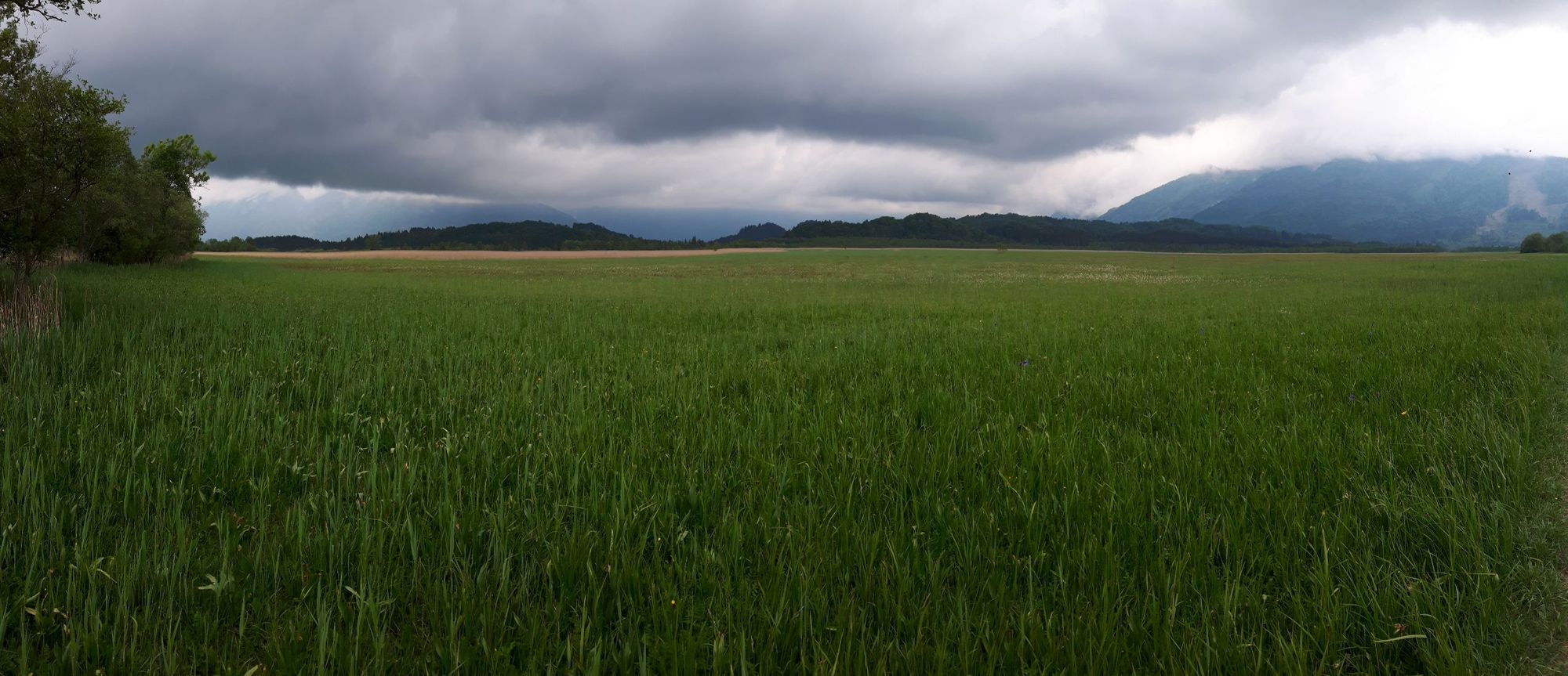 Panoramablick über das Murnauer Moos