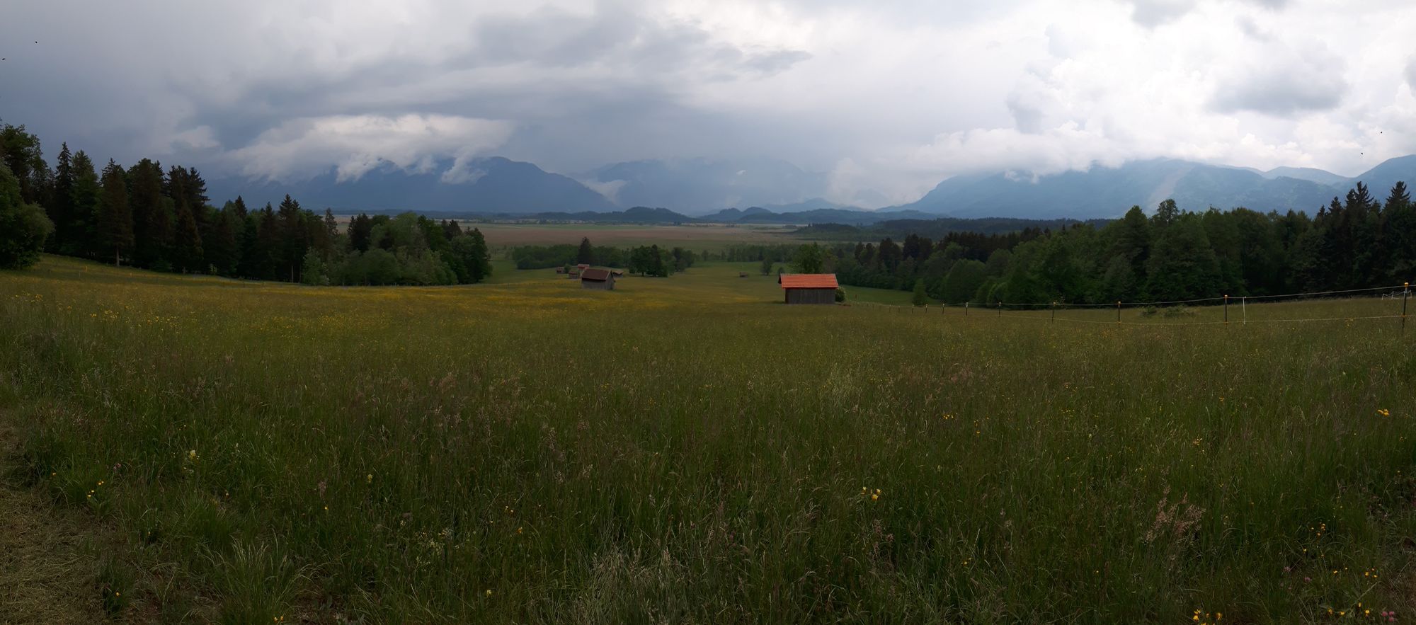 Panoramablick über das Murnauer Moos