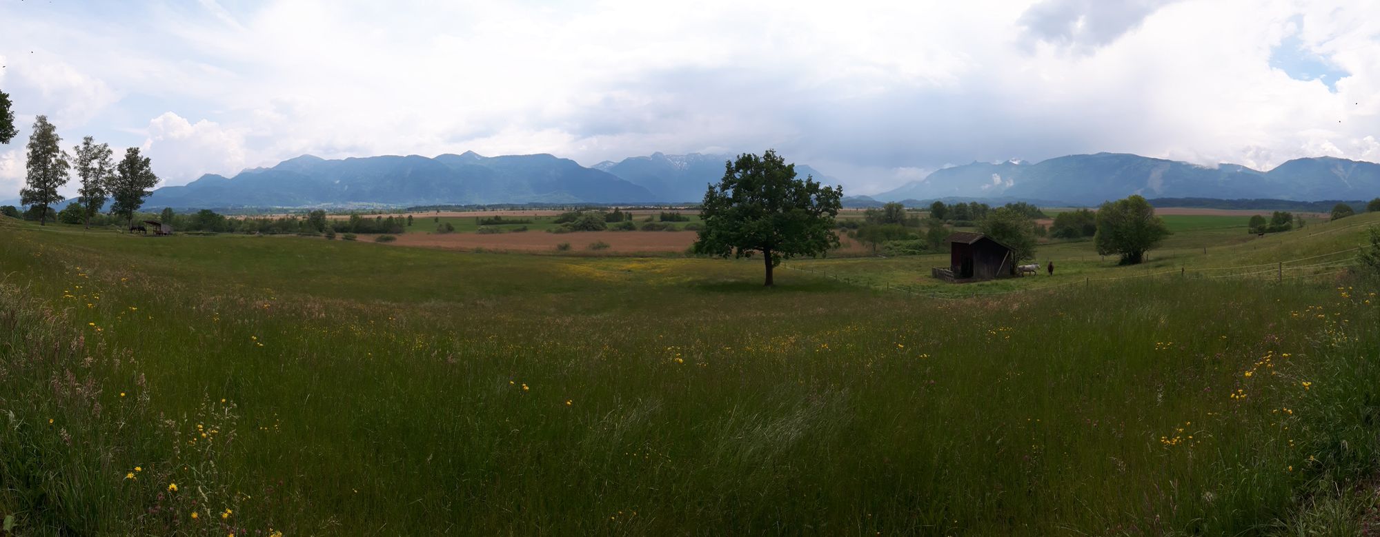 2018 05 14 Murnauer Moos Rundweg Bad Kohlgrub