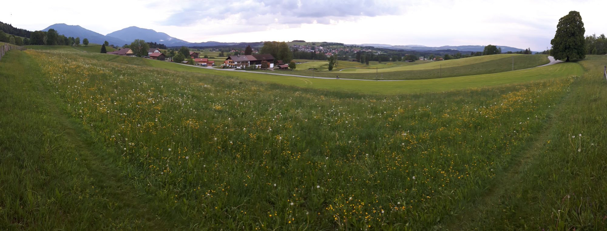 Bad Kohlgrub Blick über die Weiden