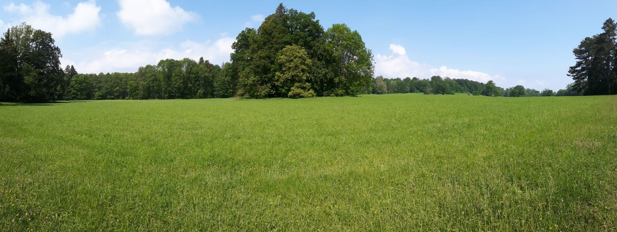2018 05 18 Starnbergersee Spaziergang Bernrieder Park – Erlinger Höhe -Andechs