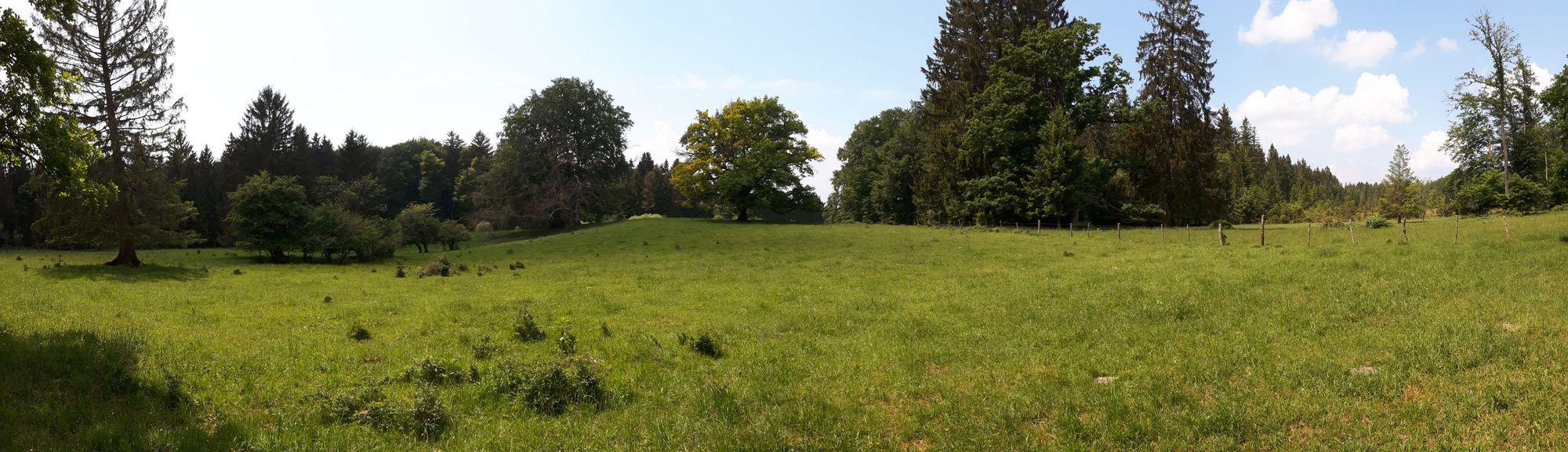 Panorama am Erlinger Höhenweg