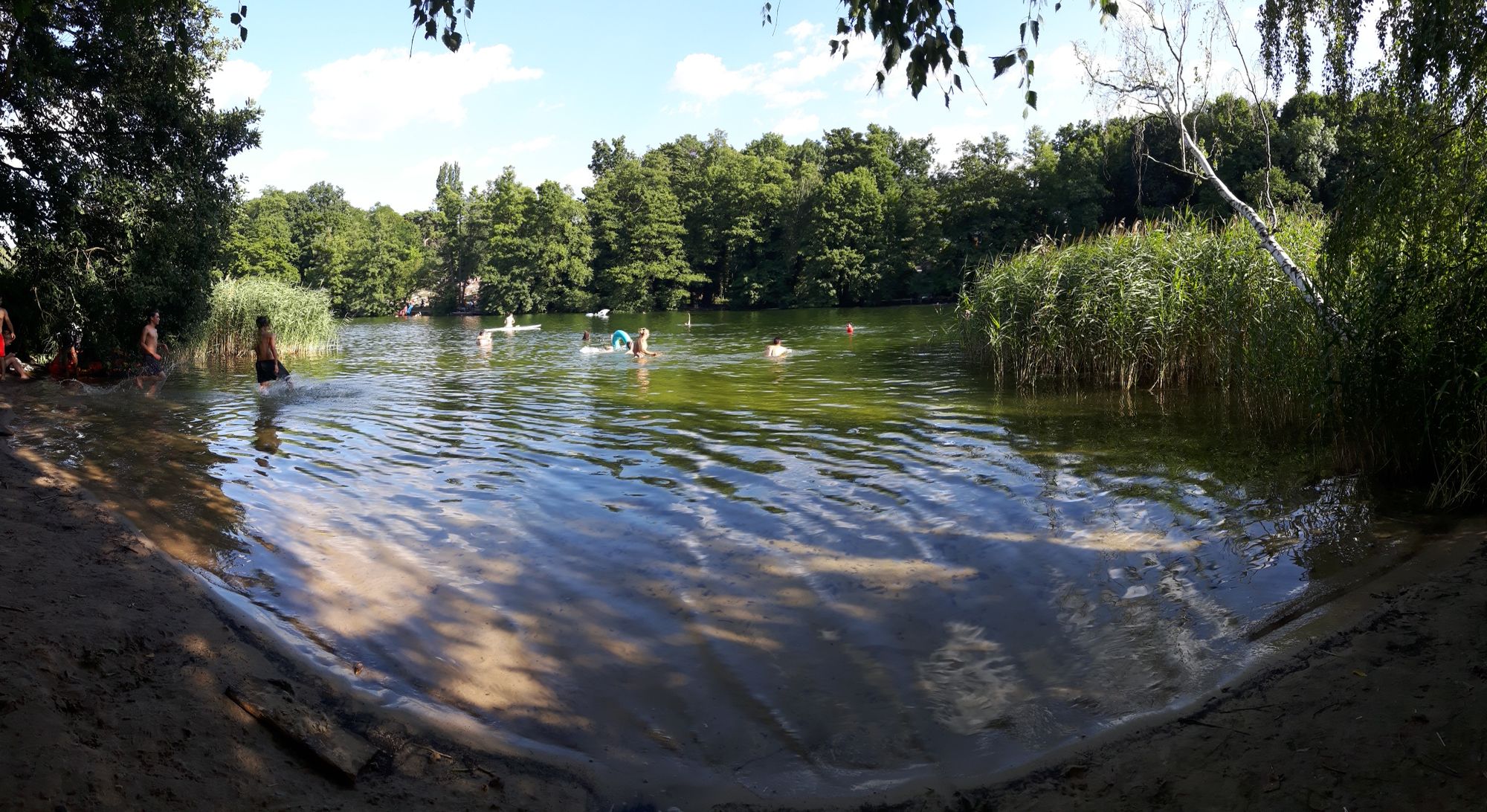 2018 07 schwimmen Schlachtensee