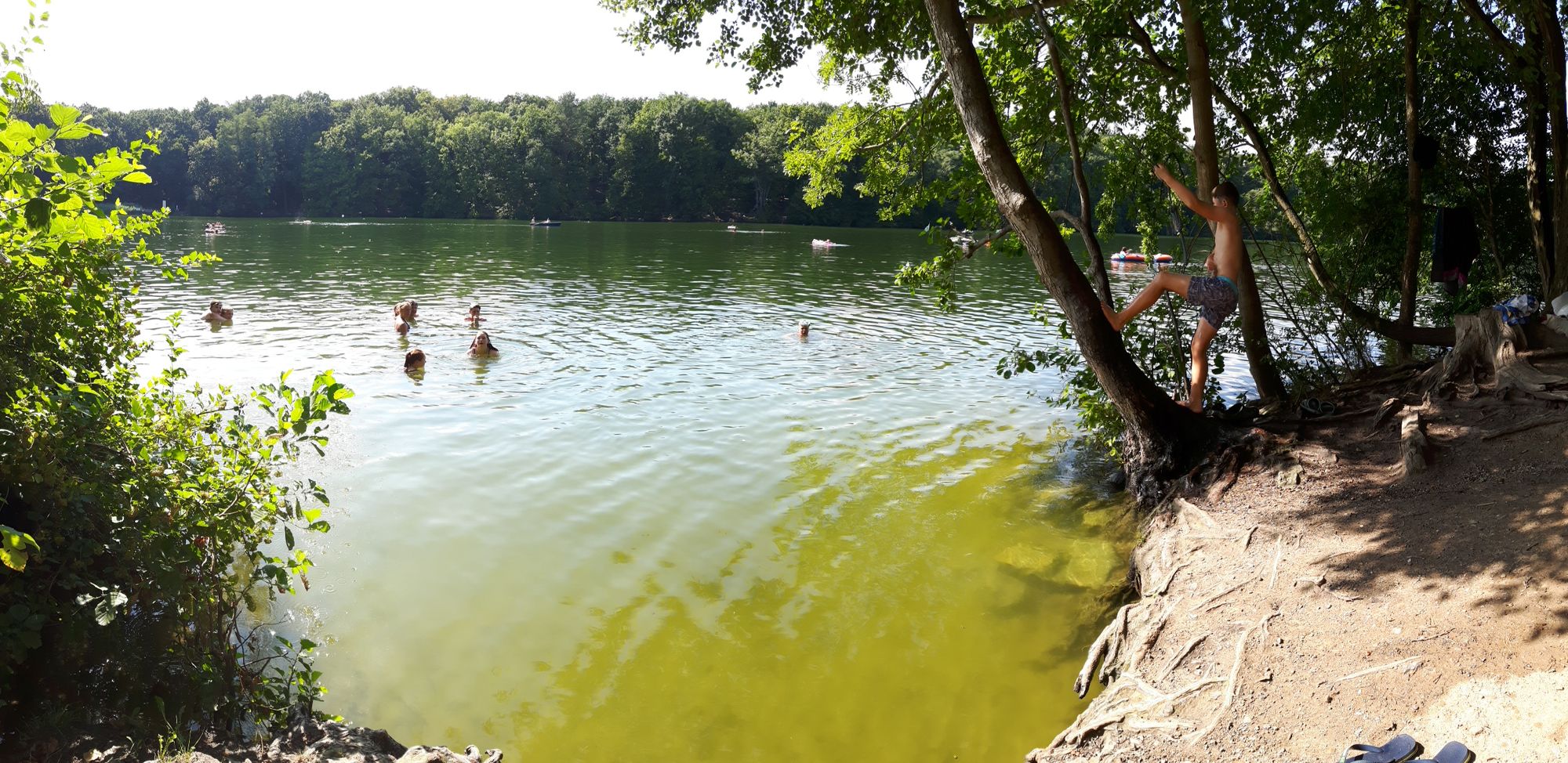 2018 07 nochmal im Schlachtensee
