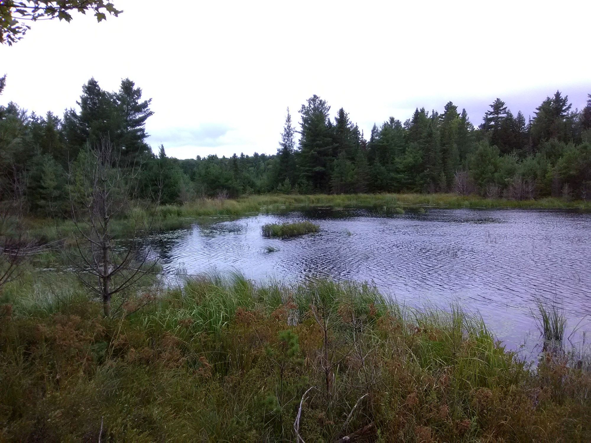 ein kleiner See