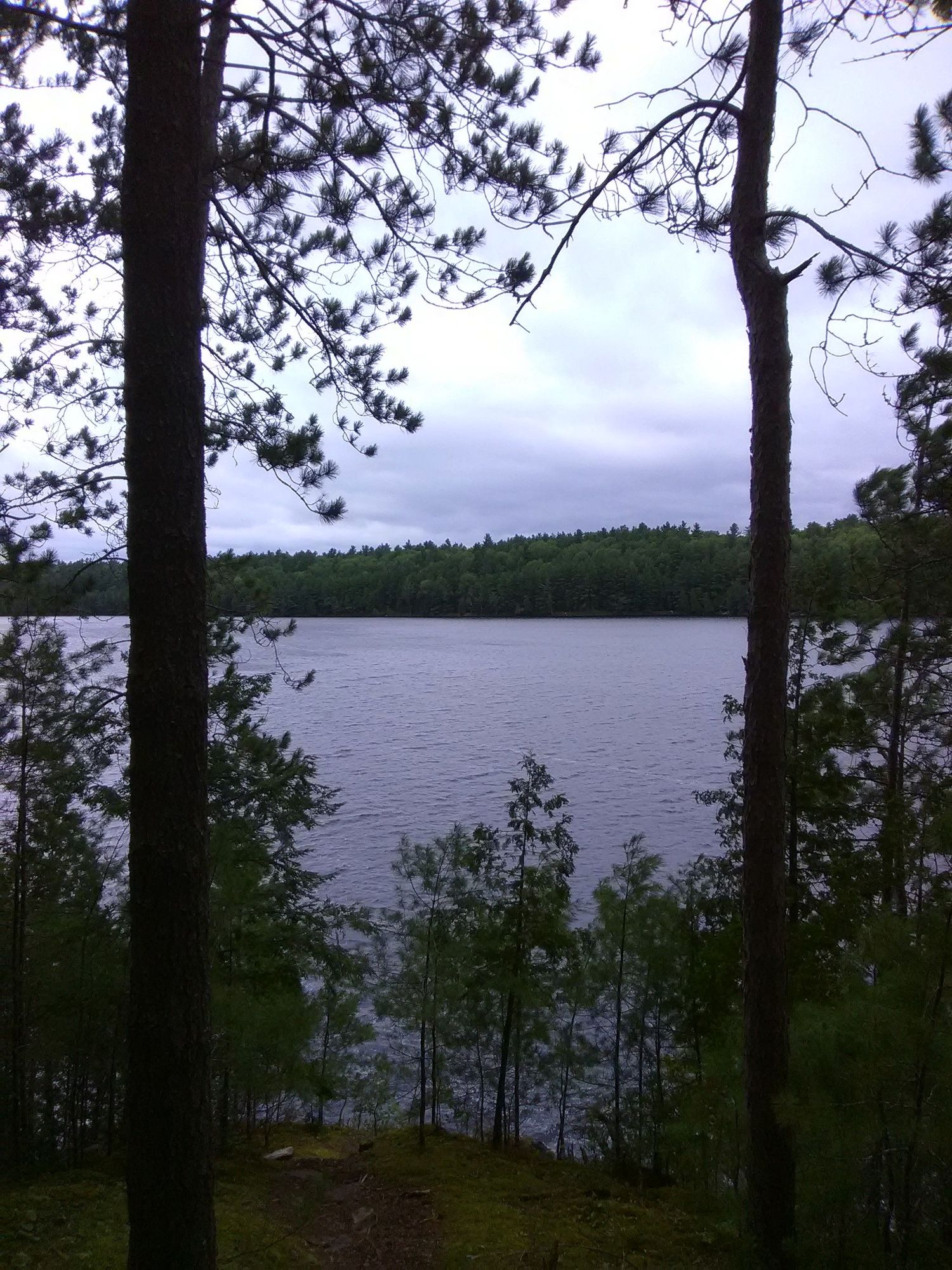 Bon Echo Lake Blick durch Bäume