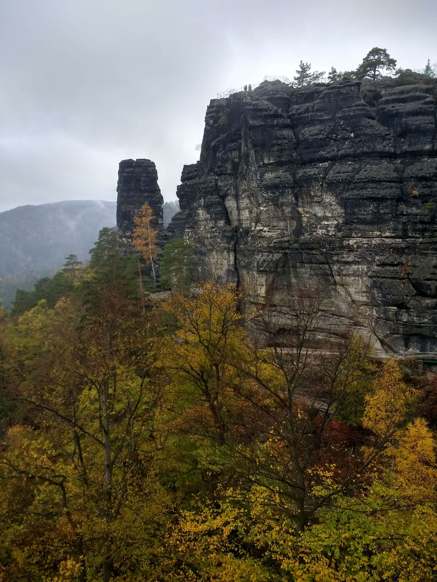 Felswand und Nadel im Regen