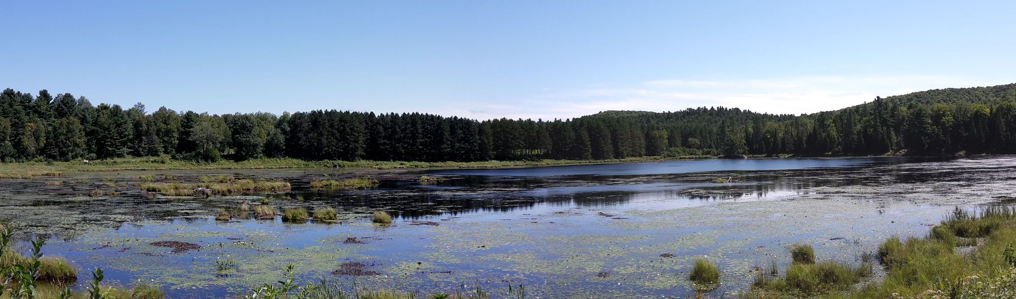 2018 08 Park Gatineau Lake Tayler Walk