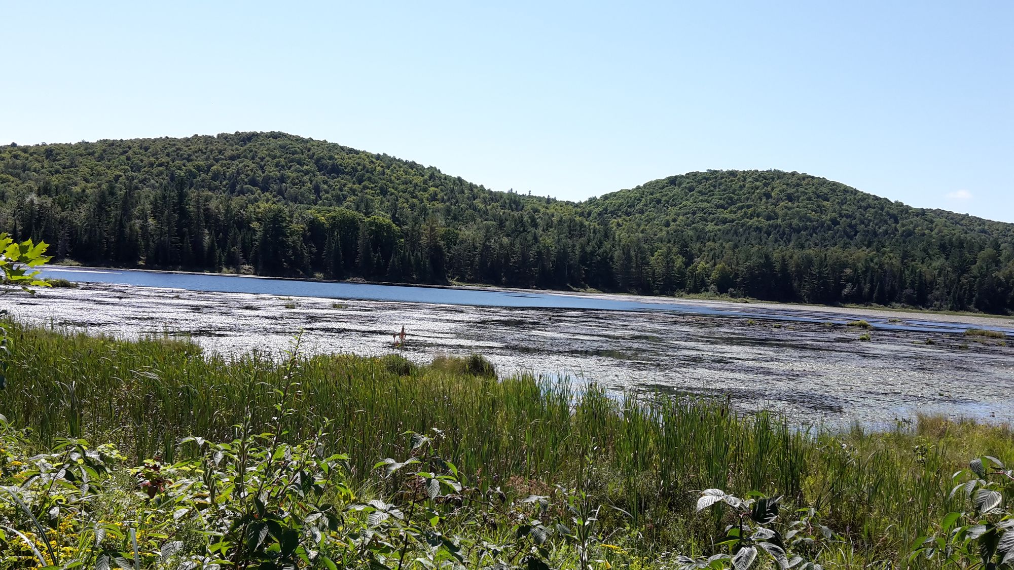 Lac Renauld