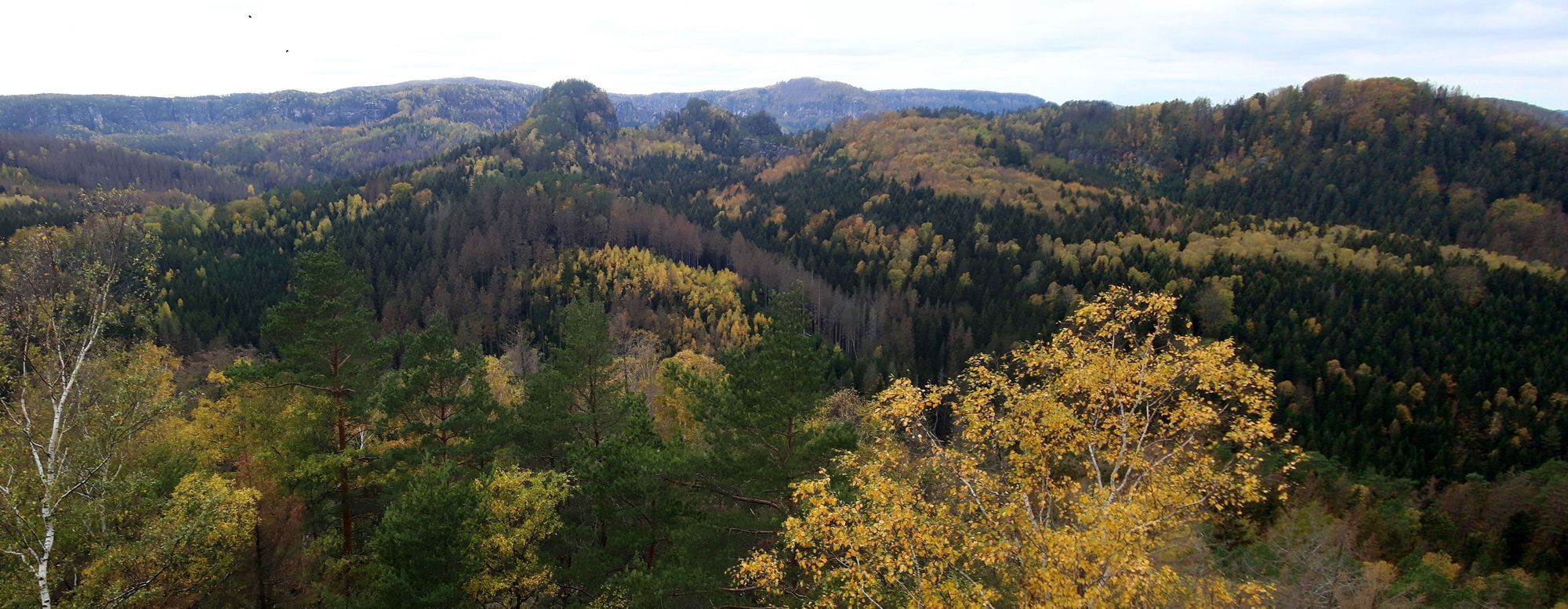 2018 10 Elbi Rathen Kirnitzschtal