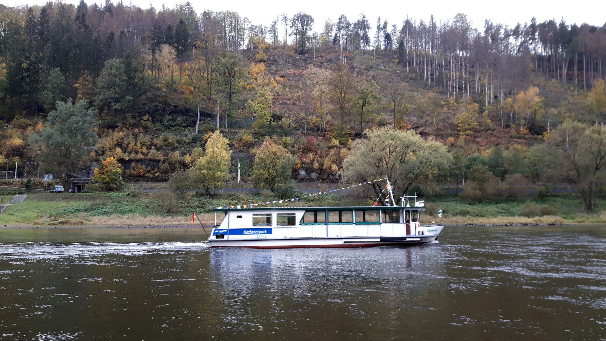 Boot auf der Elbe