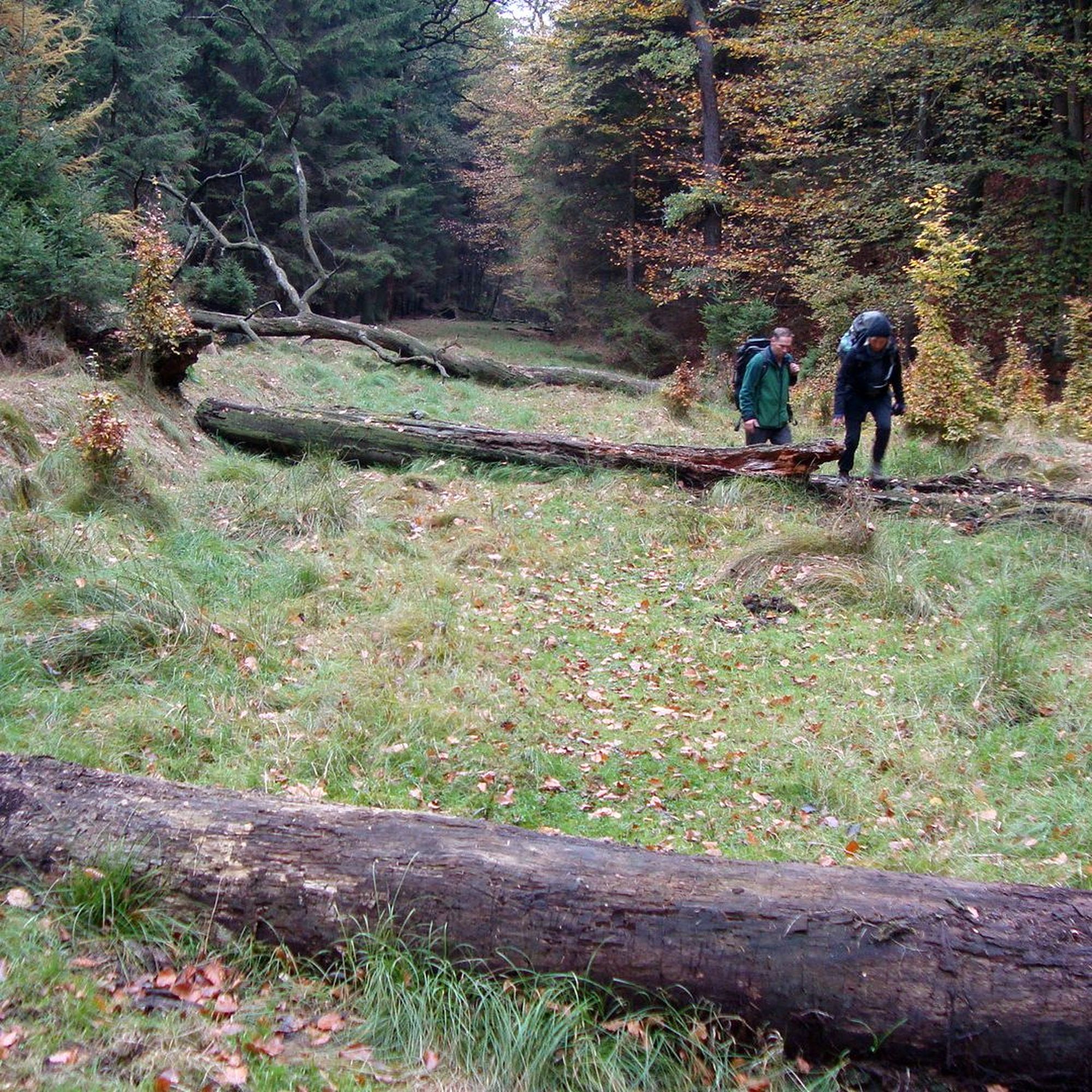 Auf dem Weg nach Tschechien