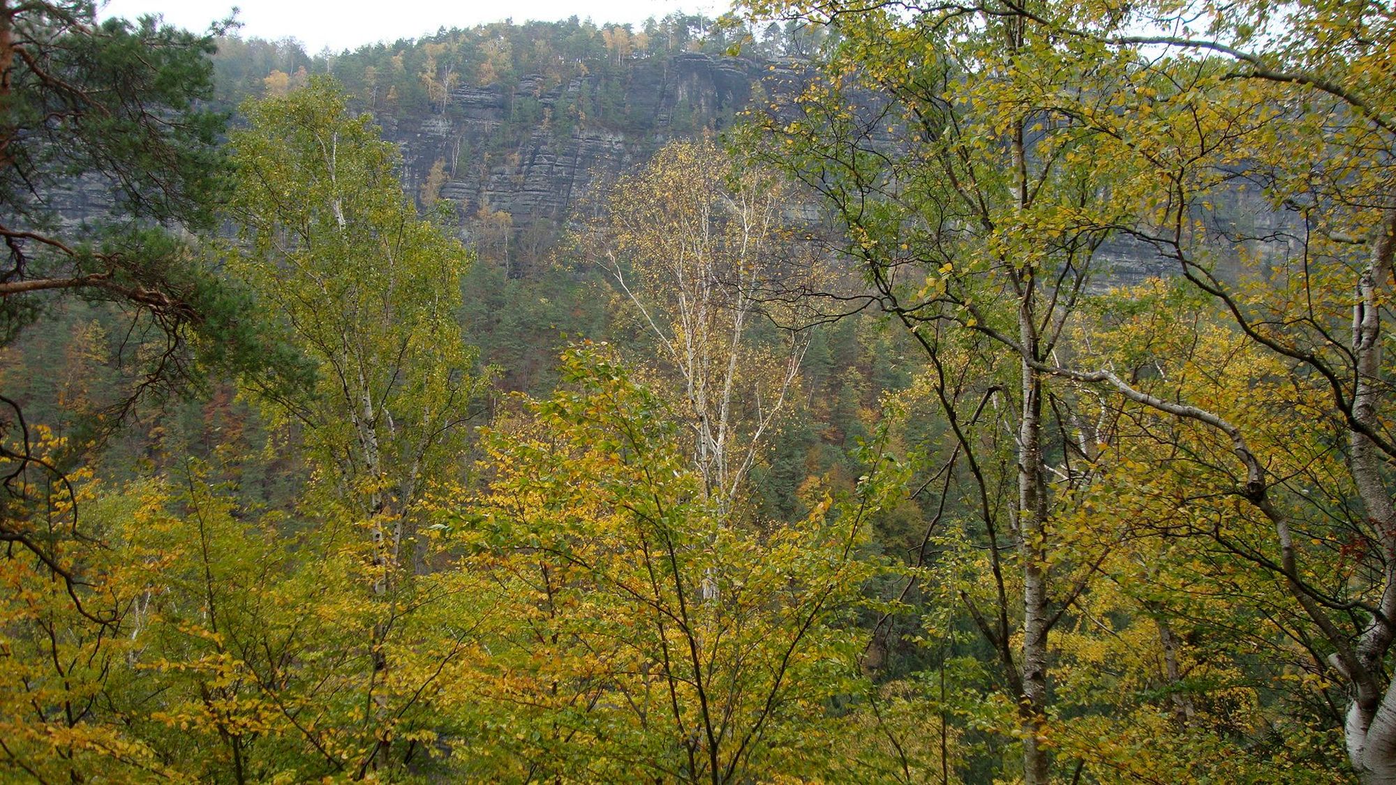 Ausblick Herbstlaub und Felsen