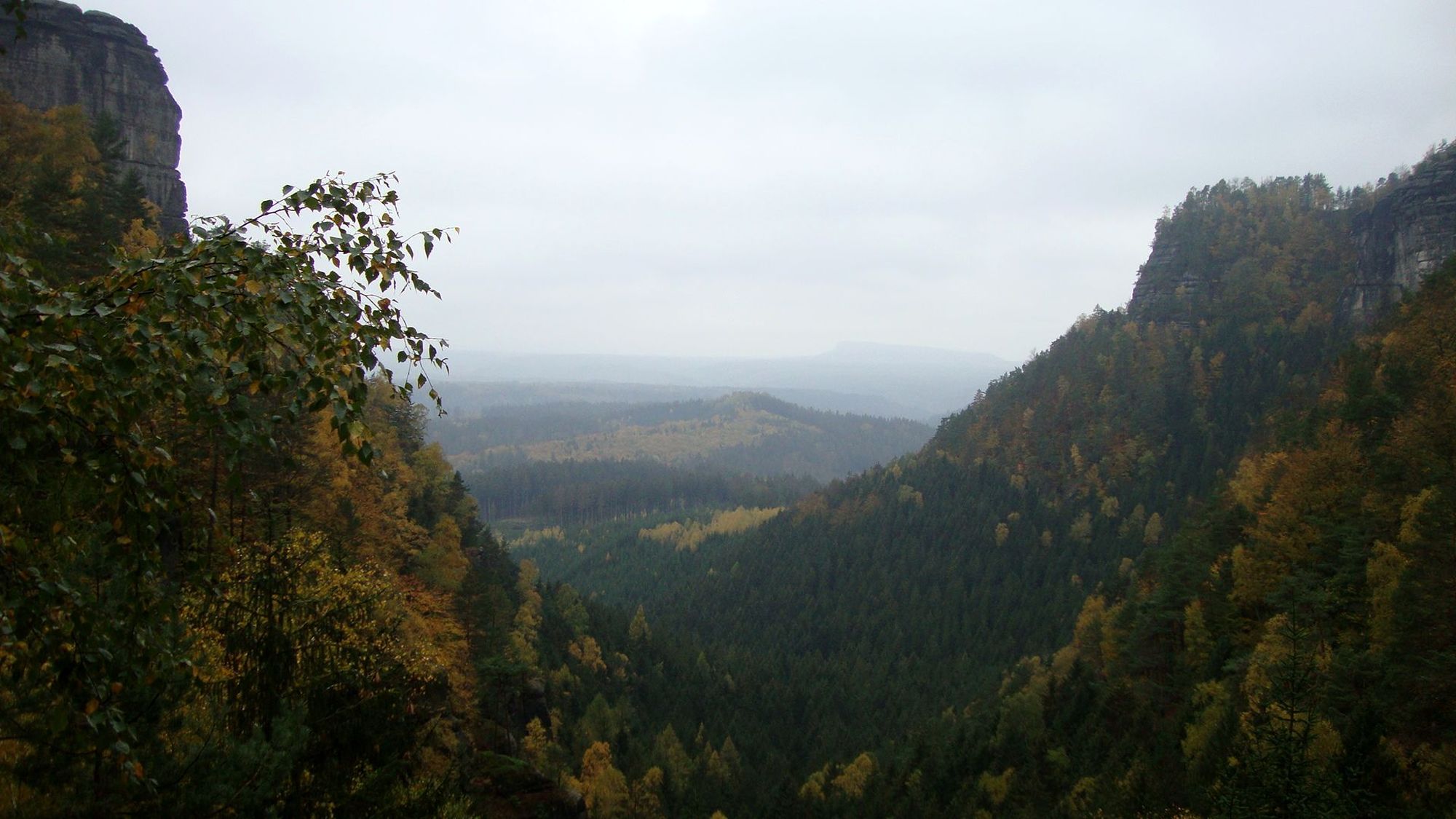 Ausblick Herbstlaub und Felsen