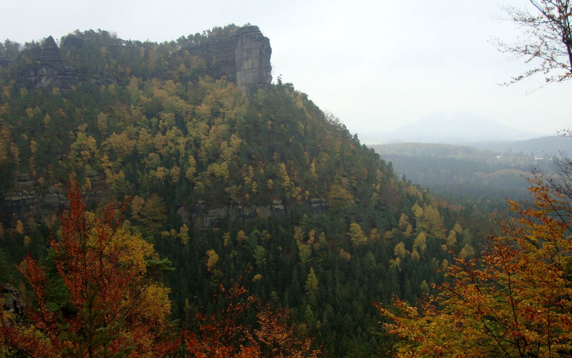 Felswand mit Herbstwald