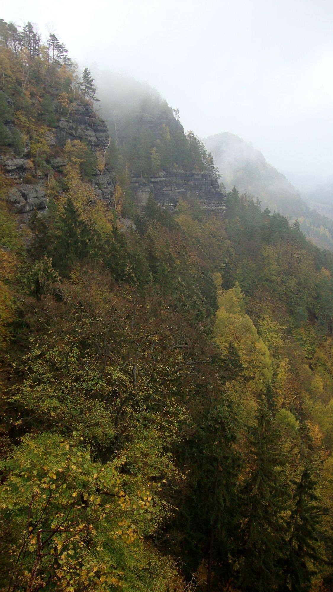 Die bewaldeten Felsen im Regen