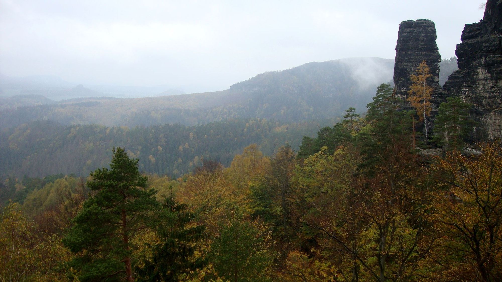 Die bewaldeten Felsen im Regen