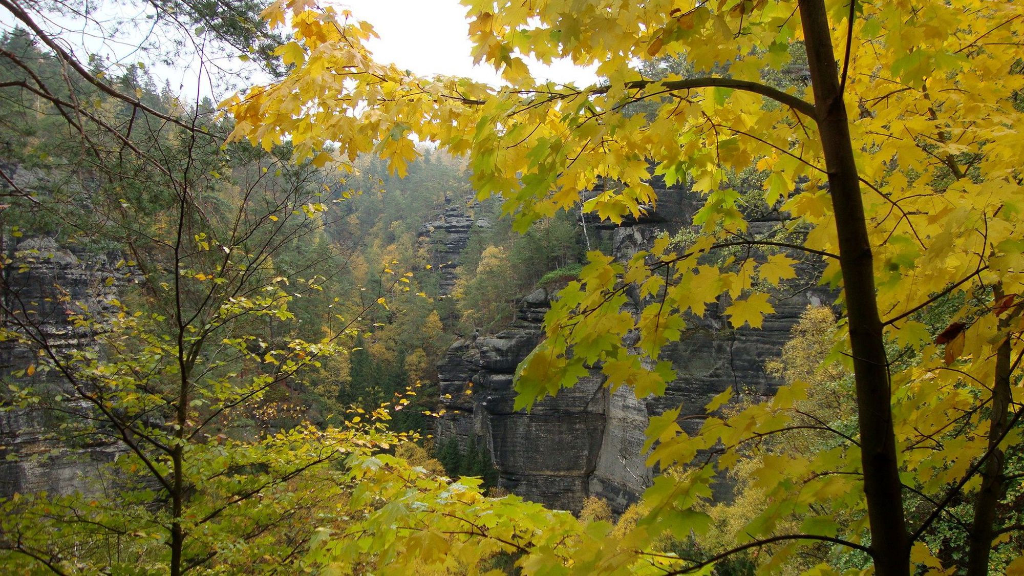 Herbstlaub