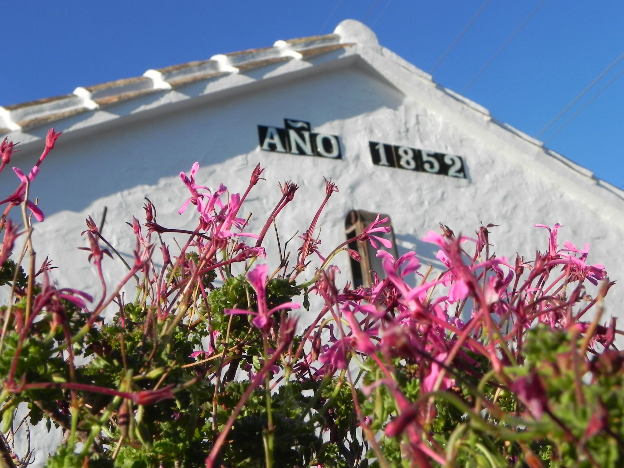 Spanien Rancho de Inglese ano 1852