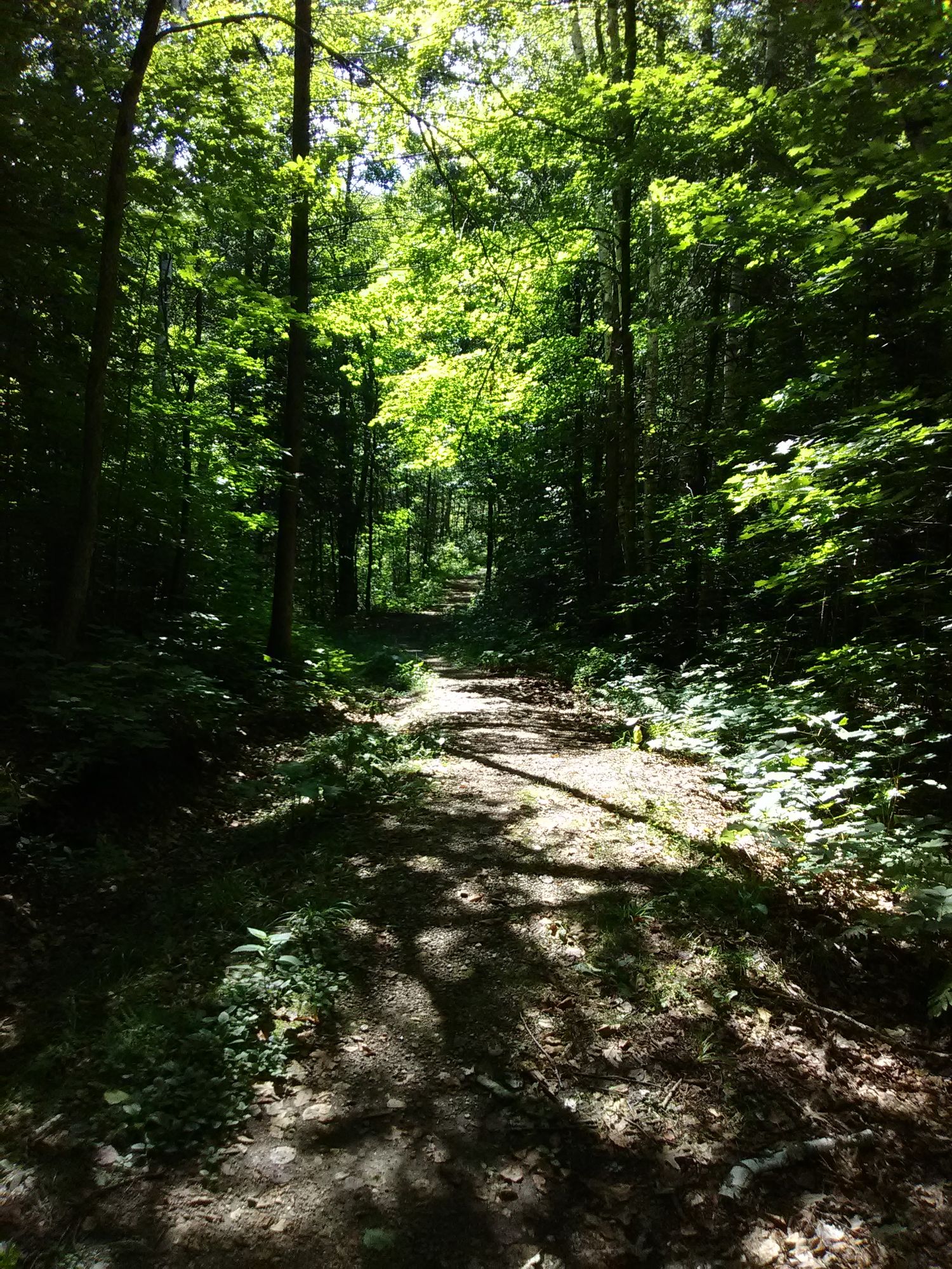 Auf dem Weg zum Lake Taylor