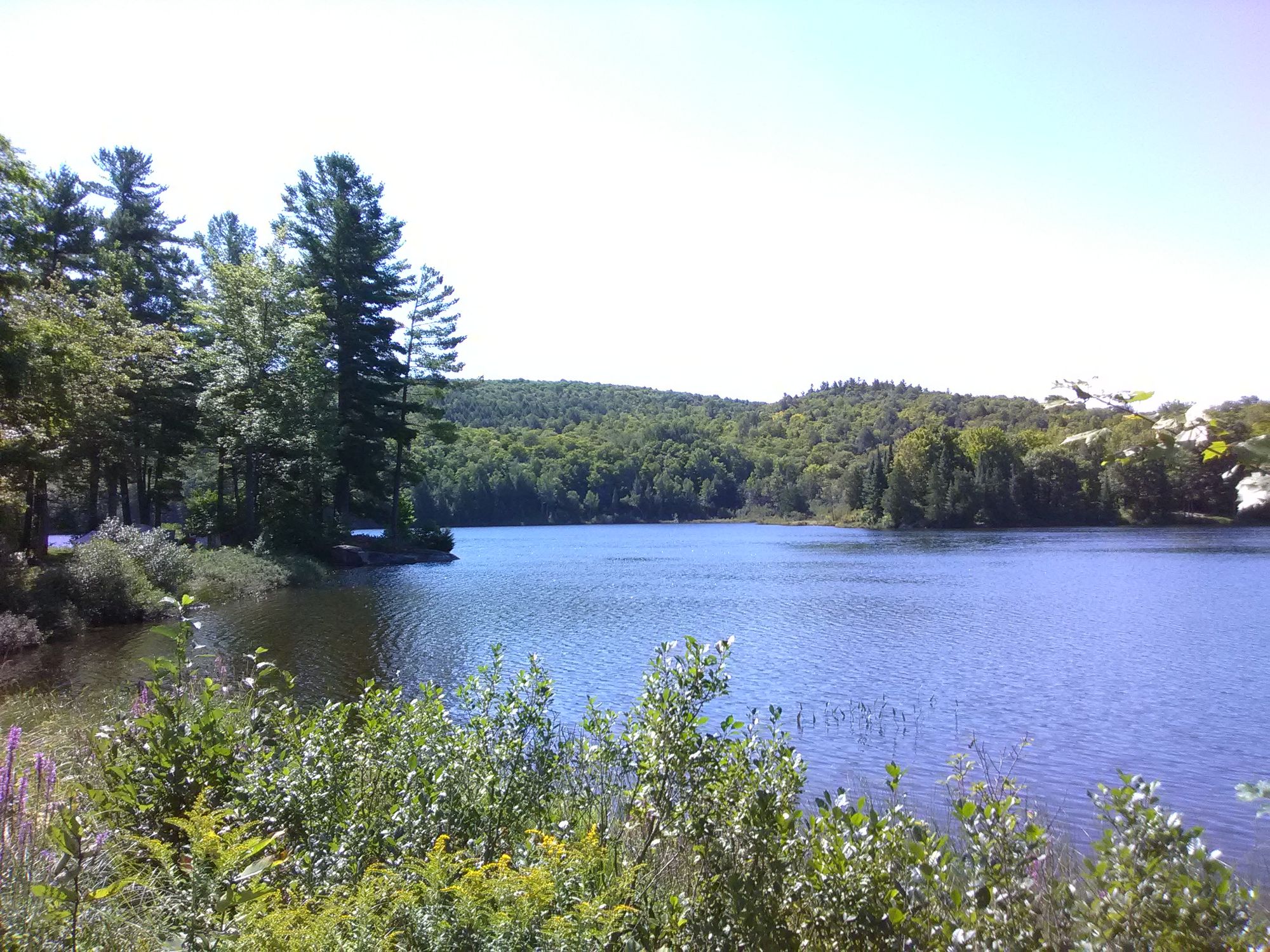Blick auf den Lake Taylor