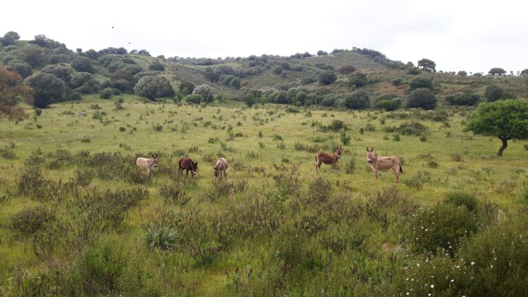 2019 04 Sardinien Autoscouter Wandern