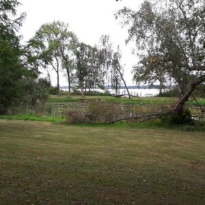Park am See bei Maribo