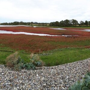 Bøjden Nor Fünen Naturschutzgebiet